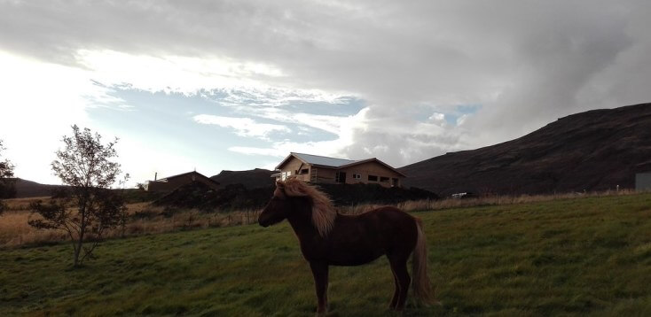 Efsti Dalur, Golden Circle, Iceland