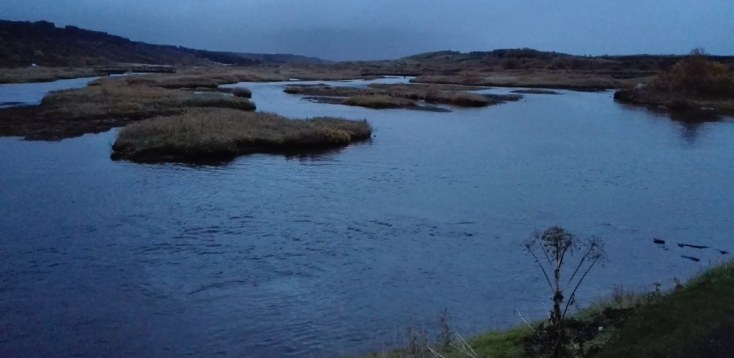 Parcul Thingvellir, Cercul de Aur, Islanda