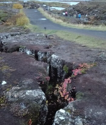 Parcul Național Thingvellir, Cercul de Aur, Islanda 