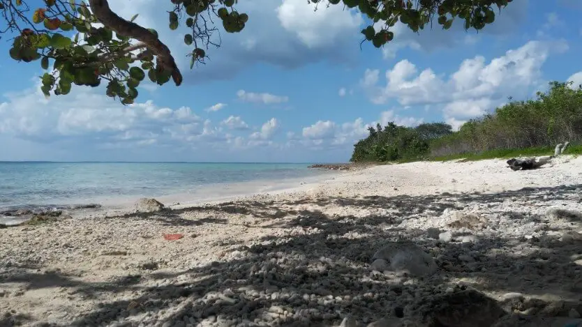 Deserted beach that can be reached on foot from Punta Perdiz