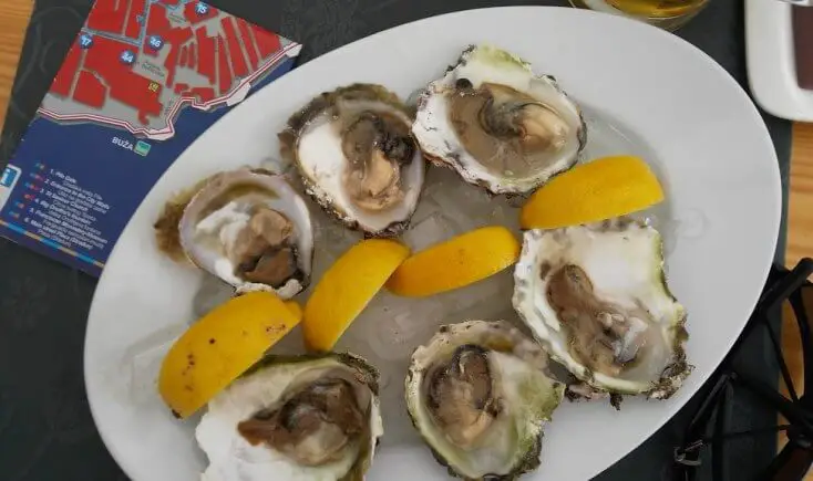 Oysters, Dubrovnik, Croatia