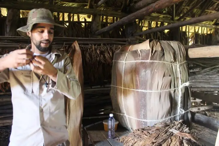 Visiting a tobacco farm in Horse crossing the street in Vinales