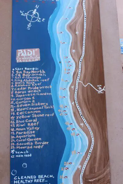 Corals in the Red Sea, Aqaba, Jordan Corals in the Red Sea, Aqaba, Jordan