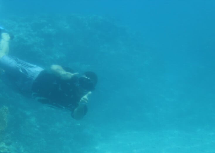 Human fish in the Red Sea, Aqaba, Jordan Human fish in the Red Sea, Aqaba, Iordania